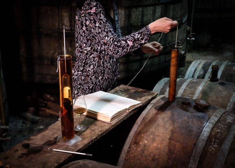 Cognac Cellar and Barrels
